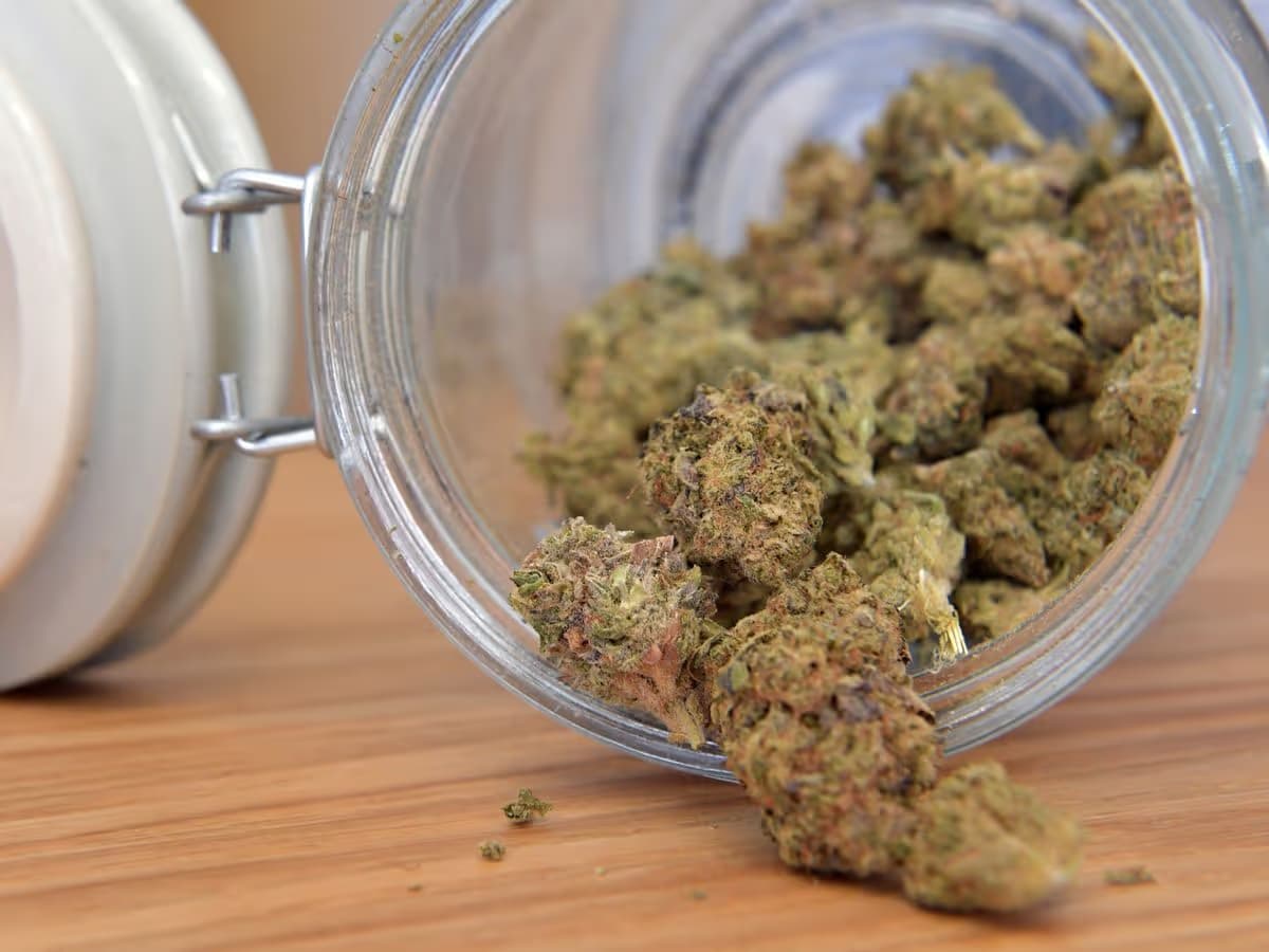 Buy Marijuana Buds UK: Legal Guidelines and Medical Information