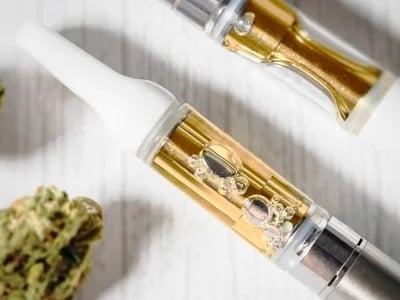 Experience Full-Spectrum Flavor with Muha meds disposable