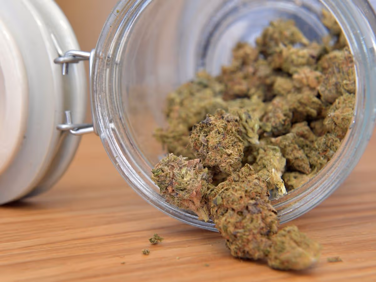 Buy Marijuana Buds UK: Legal Guidelines and Medical Information