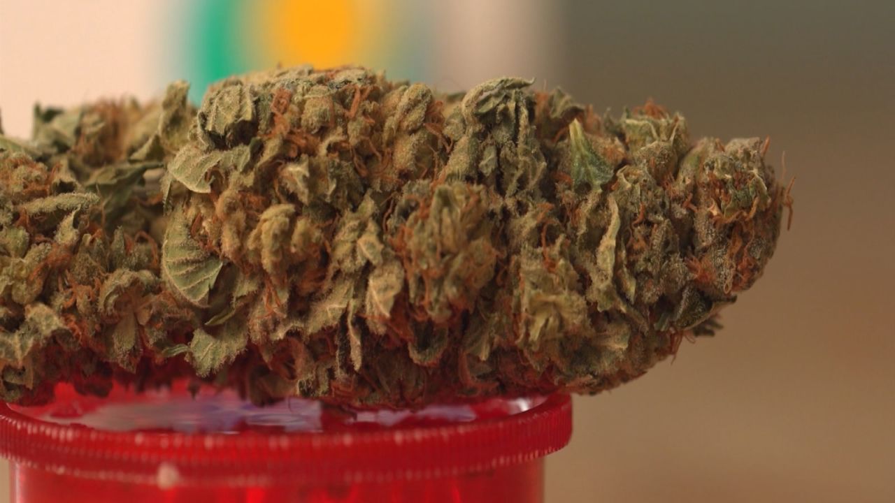 Buy Marijuana Buds UK: Legal Guidelines and Medical Information