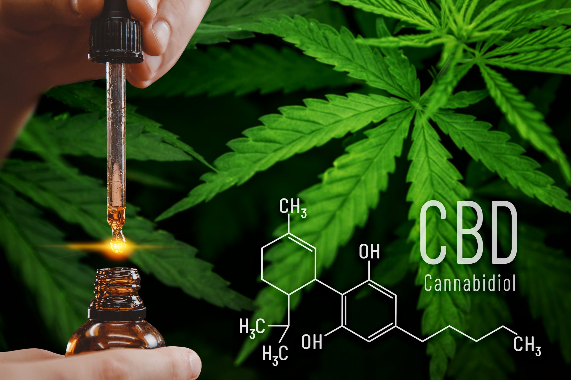 Buy Weed Online in the USA: Your #1 Place to Buy Weed Strains Online