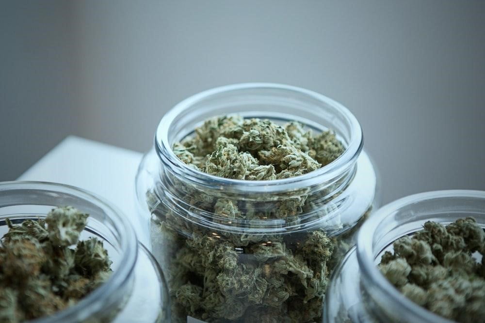 CBD OG Kush and Beyond: Comprehensive Support for Your Medicinal Marijuana Needs