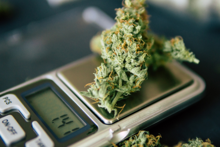 Wholesale THC Marijuana Buds Europe – Bulk Premium Cannabis for Dispensaries & Buyers