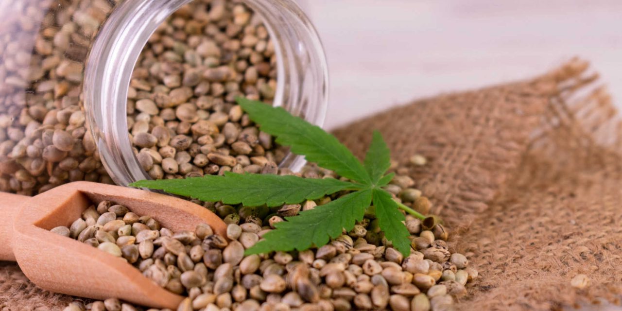Cannabis Concentrates Aussie – Market Study and Consumer Preferences